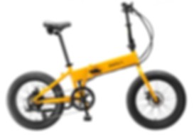 Biria Electric Folding